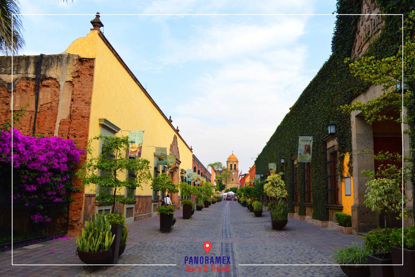 Recorrido por la Ruta del Tequila Jalisco Recorrido Turístico