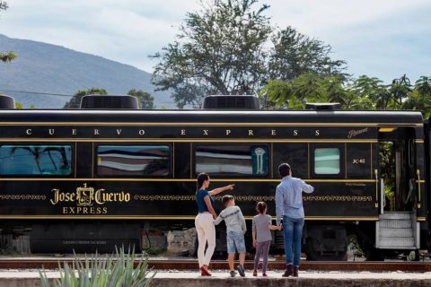 ¿Vale la pena visitar Tequila en tour o por tu cuenta? La verdad que nadie te dice