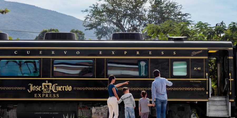 ¿Vale la pena visitar Tequila en tour o por tu cuenta? La verdad que nadie te dice