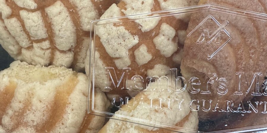 Pan Mexicano conchitas ejemplo de traciones