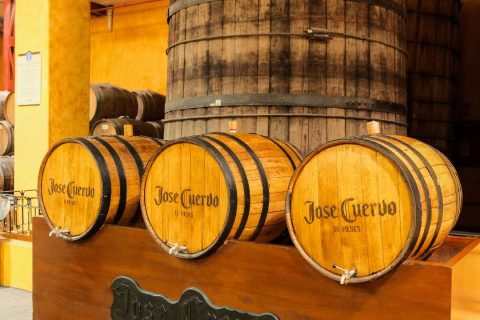 Tequila y mariachi de Jalisco Mexico