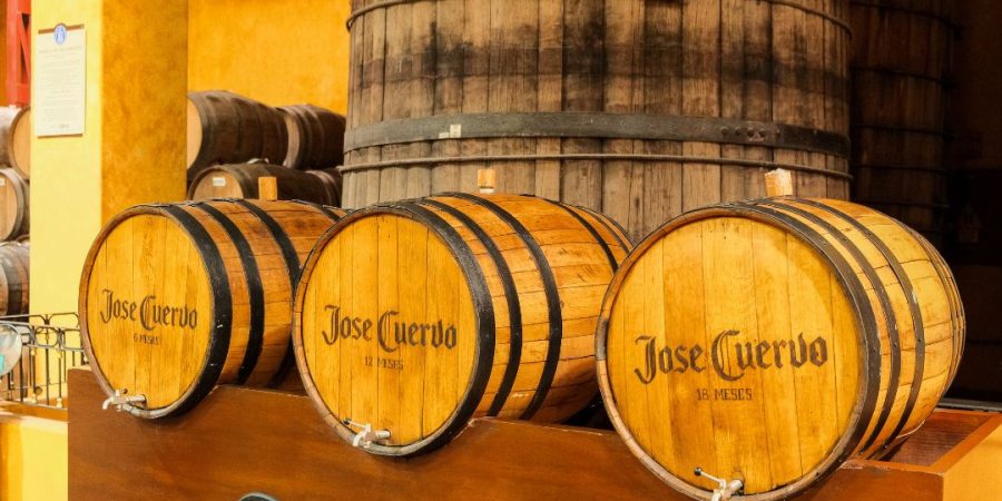 Tequila y mariachi de Jalisco Mexico