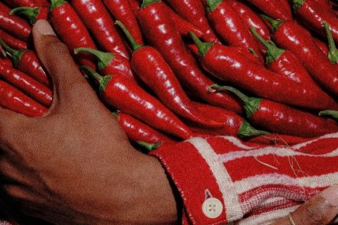 Chiles Yahualica en Jalisco Mexico
