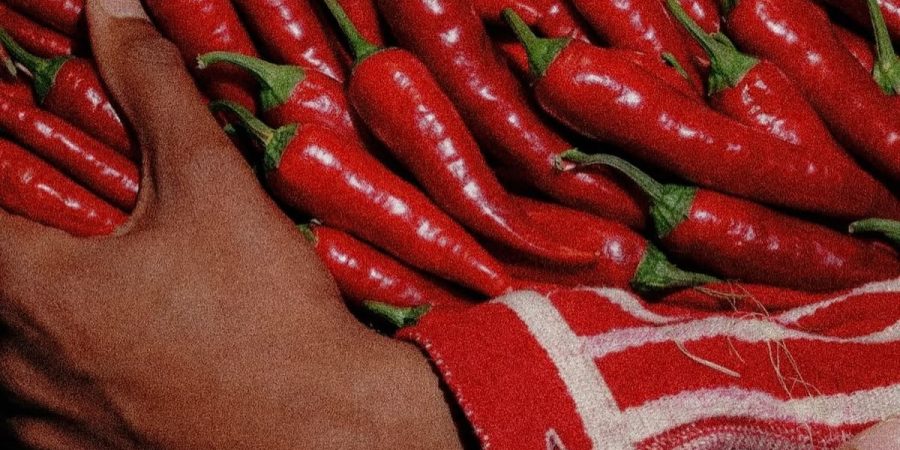 Chiles Yahualica en Jalisco Mexico